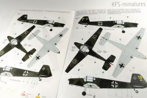 1/48 Bücker Bü 181 Bestmann "Panzerjagdstaffeln" - Special Hobby