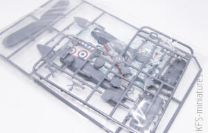 1/72 SPAD 510 7eme Escadre - Azur-Frrom