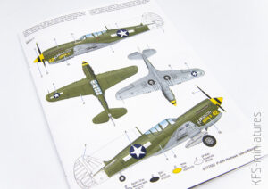 1/72 P-40N Warhawk - Island Warriors - Special Hobby