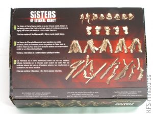 28mm Sisters Davidians - Raging Heroes