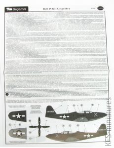 1/48 Bell P-63 Kingcobra - kalkomanie - Begemot