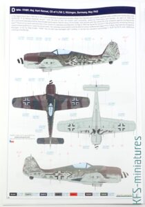 1/48 Fw 190A-8 - Weekend Edition - Eduard