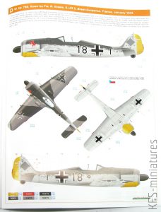 1/48 Fw 190A-4 - Eduard