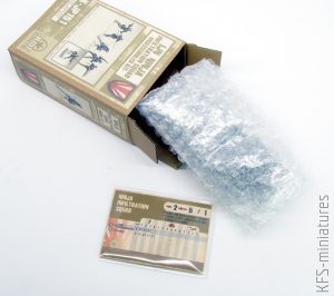 1/48 Ninja Infiltration Squad Kit - DUST 1947